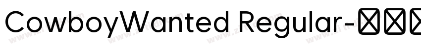 CowboyWanted Regular字体转换